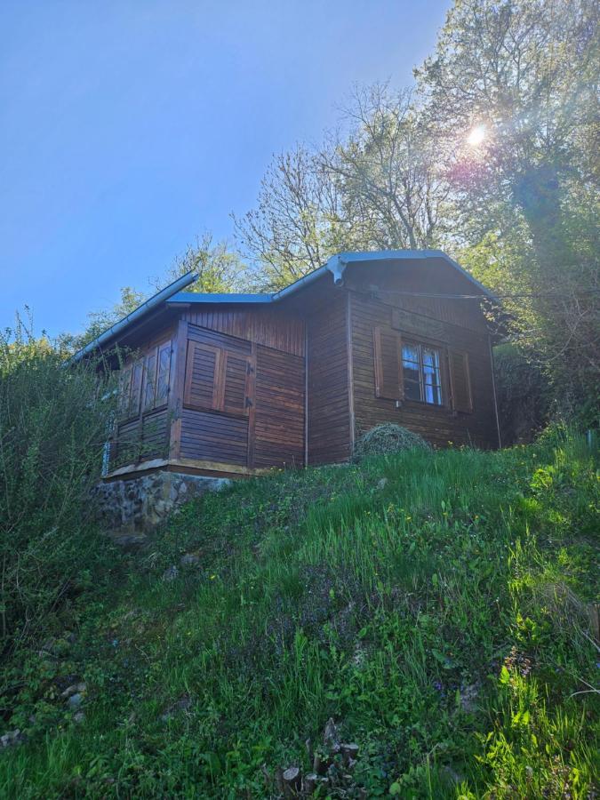 Villa Elbblick Storkau Exterior foto